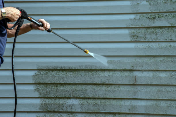 Best Graffiti Removal  in Linden, CA